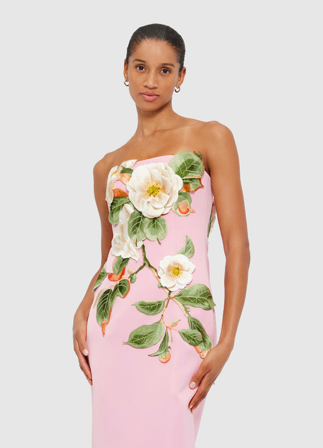 Rayna Appliqué Floral Bustier Maxi Dress in Camelia Print