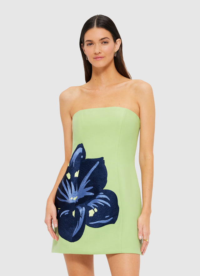 Exclusive Leo Lin Roselle Embroidered Bustier Mini Dress in Hibiscus in Matcha