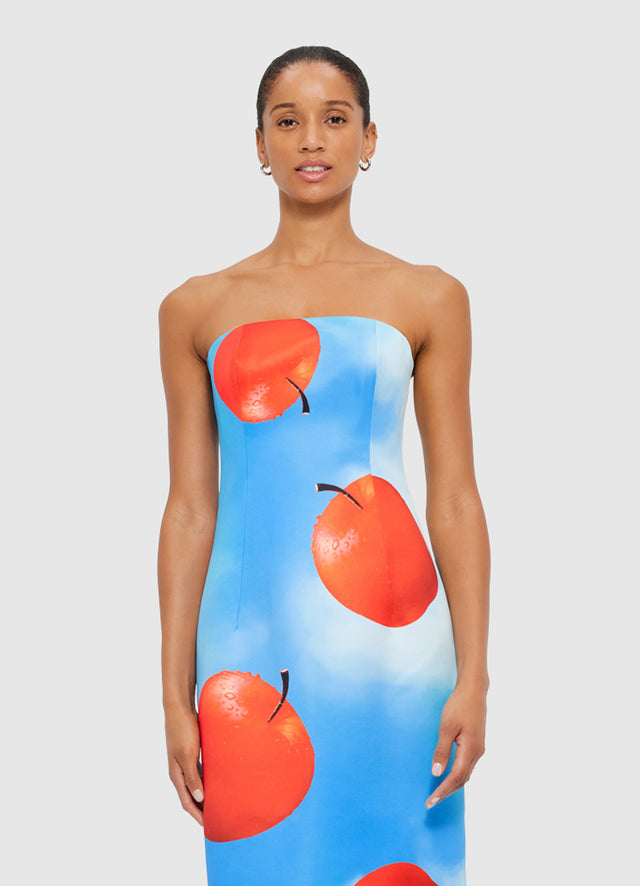 Exclusive Leo Lin Rayna Bustier Maxi Dress in Apple Print