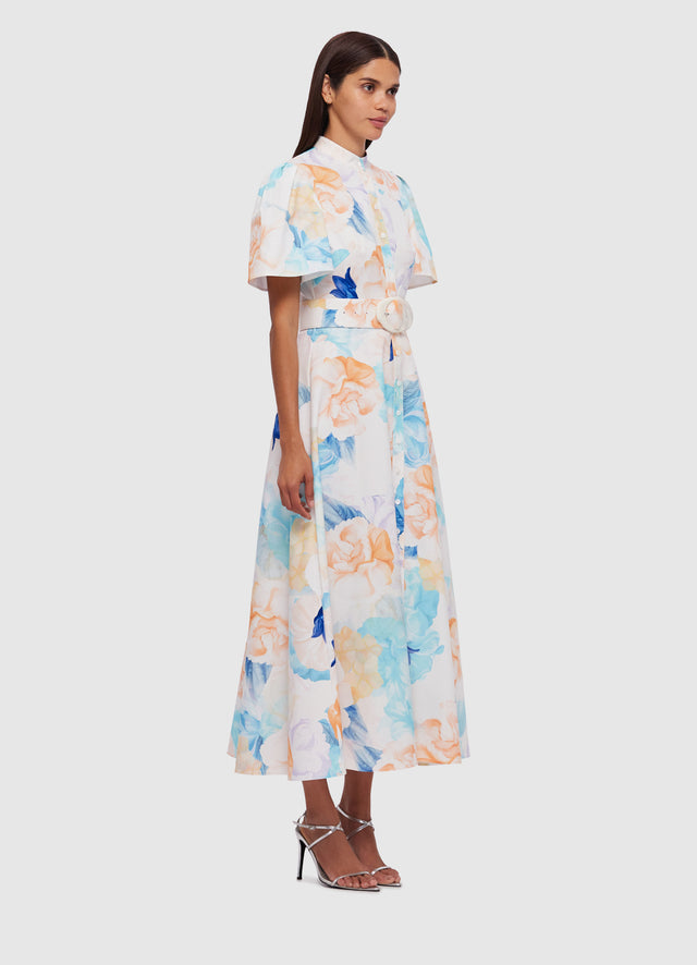 Exclusive Leo Lin Bianca Short Sleeve Midi Dress in Rosebud Print in Cream