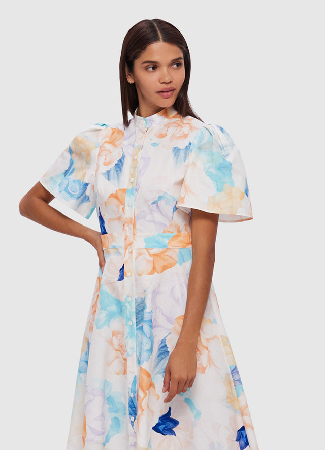Exclusive Leo Lin Bianca Short Sleeve Midi Dress in Rosebud Print in Cream