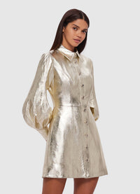 Elle Leather Mini Dress - Gold