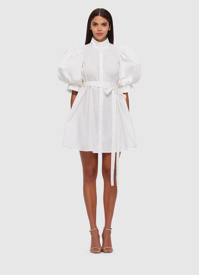 Exclusive Leo Lin Eli Mini Dress in Snow