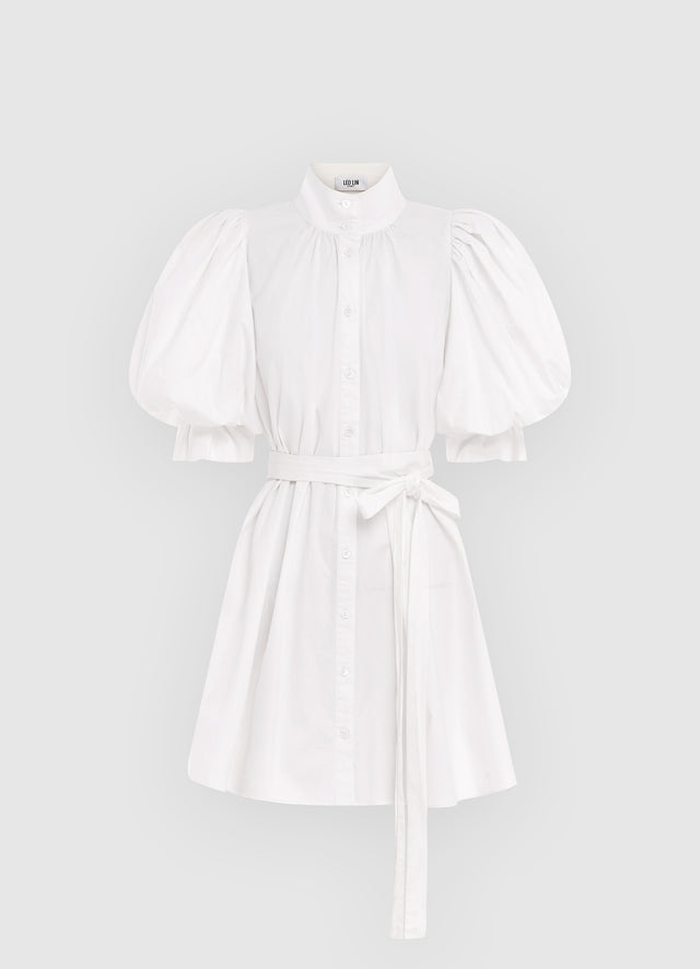 Exclusive Leo Lin Eli Mini Dress in Snow