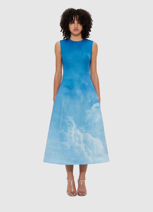 Exclusive Leo Lin Cleo Sleeveless Midi Dress - Aerial Print