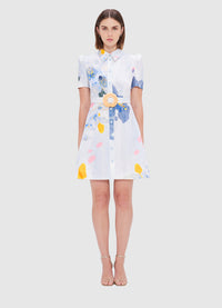 Exclusive Leo Lin Bronte Mini Dress in Tranquility Print