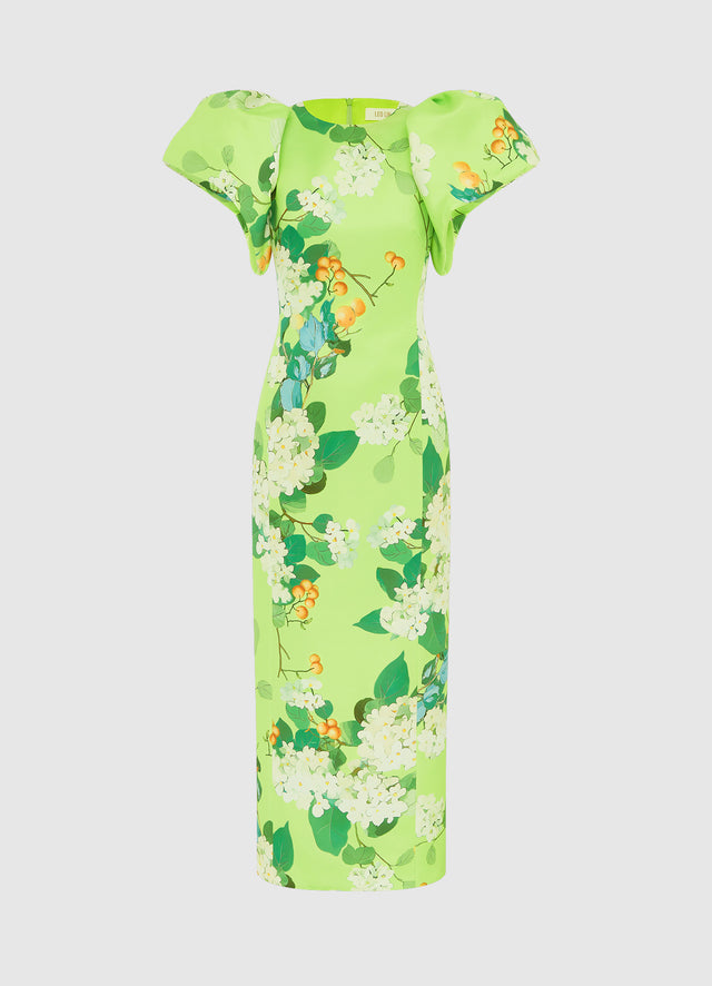 Exclusive Leo Lin Lucinda Maxi Dress in Hydrangea Print in Lime