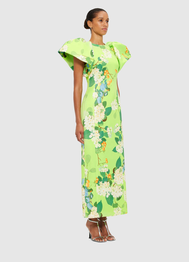 Exclusive Leo Lin Lucinda Maxi Dress in Hydrangea Print in Lime