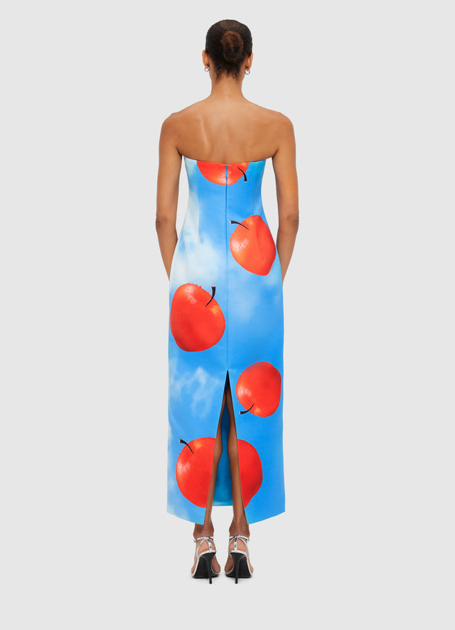 Exclusive Leo Lin Rayna Bustier Maxi Dress in Apple Print