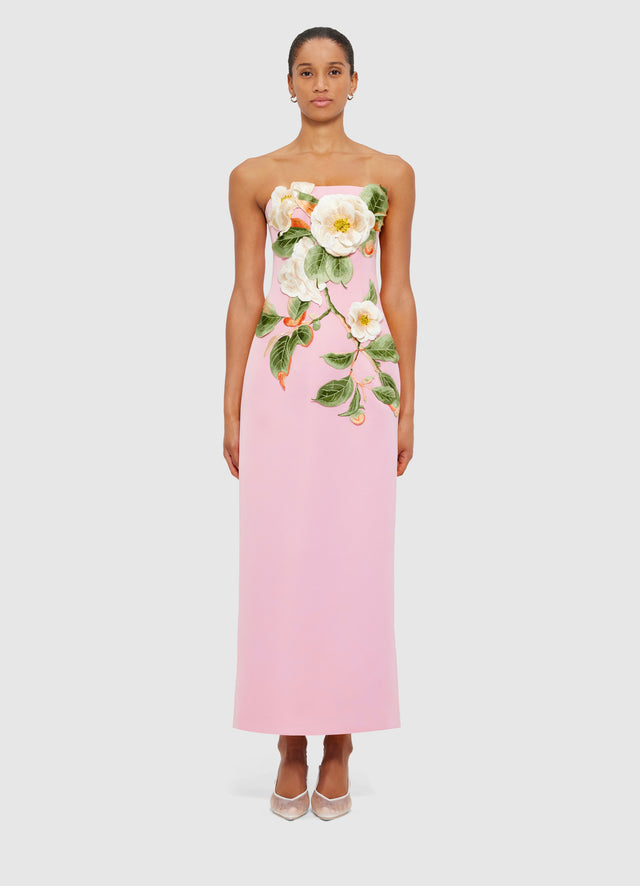 Rayna Appliqué Floral Bustier Maxi Dress in Camelia Print