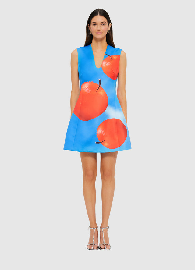 Exclusive LEO LIN Briana V Neck Mini Dress in Apple Print