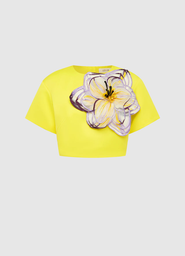 Exclusive Leo Lin Indie Sleeve Top - Iris Print in Yellow