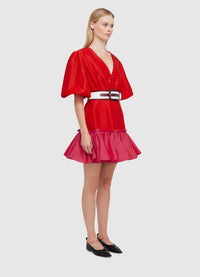 Fuchsia Rose Mini Dress